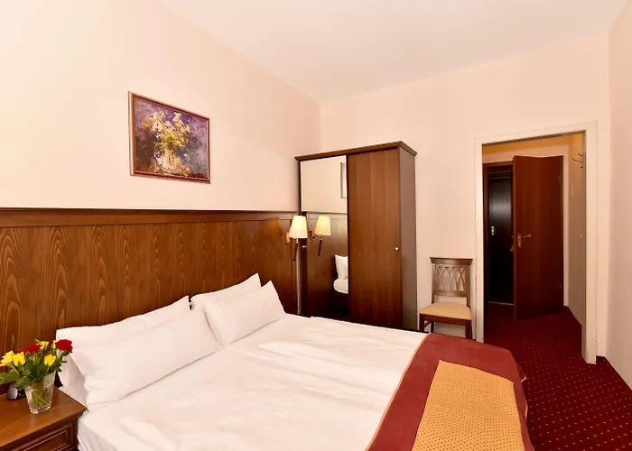 ホテル レーマーホフ 3*